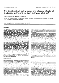 The double role of methyl donor and allosteric