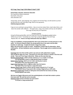 THE FROG CHORUS DAVID W