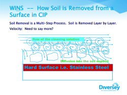 Example Presentation Title
