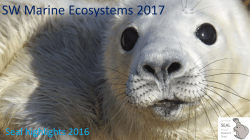 13. Seal highlights 2016 - South West Marine Ecosystems
