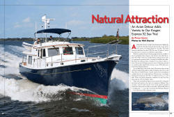 Natural Attraction
