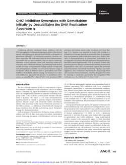 CHK1 Inhibition Synergizes with Gemcitabine