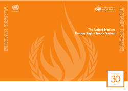 The United Nations Human Rights Treaty System