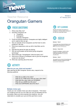 Orangutan Gamers