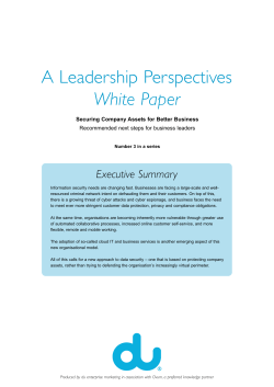 DU White Paper &ndash; Securing Company Assets for Better Business