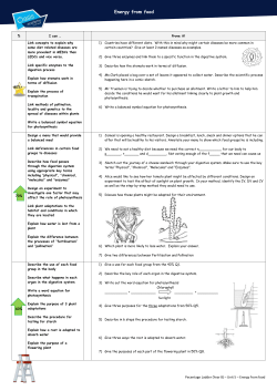Energy from food - Oasis Academy South Bank