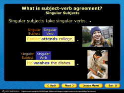 4.4 Agreement with Indefinite Pronouns