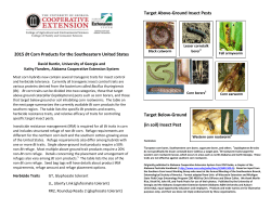 2015 Bt Corn Products for the Southeastern United States Target