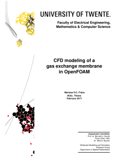 CFD modeling of a gas exchange membrane in OpenFOAM