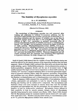 The Stability of Mycoplasma mycoides
