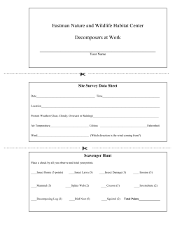 Eastman Nature and Wildlife Habitat Center Decomposers at Work