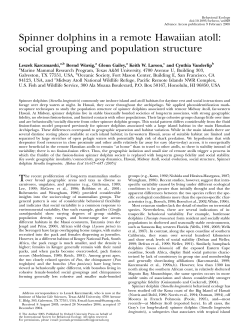 Spinner dolphins in a remote - Oxford Academic