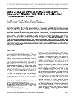 Spatial Uncoupling of Mitosis and Cytokinesis