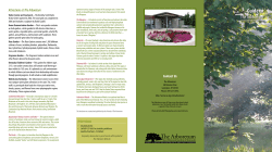 The Arboretum Visitor`s Guide - UK Arboretum