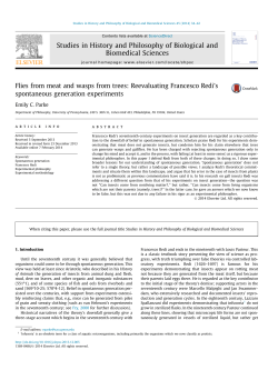 Flies from meat and wasps from trees: Reevaluating