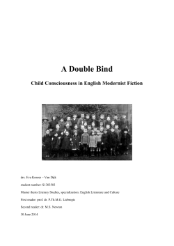 Master thesis Eva van Dijk