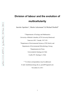 Division of labour and the evolution of multicellularity
