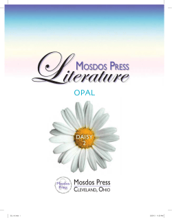 the PDF file