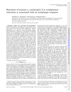 Retention of mutant 1 -antitrypsin Z in endoplasmic reticulum is