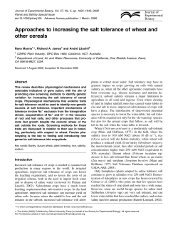 Approaches to increasing the salt tolerance of