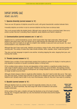 Answers and more info - Whale and Dolphin Conservation