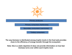 Primary producers Primary consumers (herbivores) Secondary