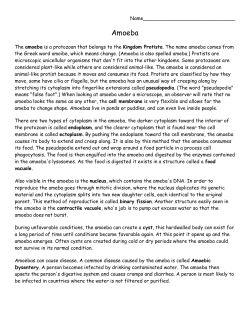 Amoeba