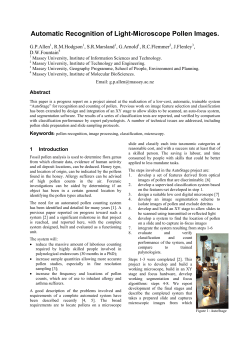 Automatic Recognition of Light