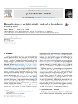Humeral torsion does not dictate shoulder position, but does