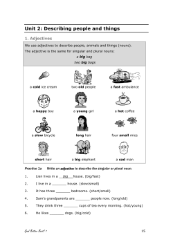 Unit 2: Describing people and things