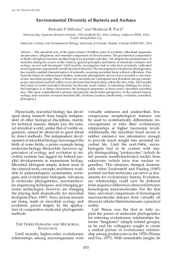 Environmental Diversity of Bacteria and Archaea