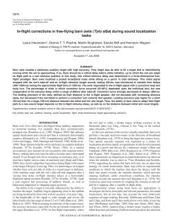 In-flight corrections in free-flying barn owls (Tyto alba) during sound