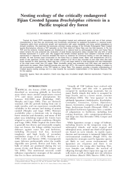 Nesting ecology of the critically endangered Fijian Crested Iguana