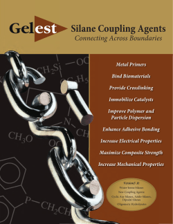 Silane Coupling Agents