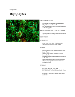Bryophytes - Department of Plant Biology