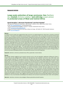 Large-scale extinction of large carnivores