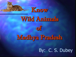 Know wild animals of madhya pradesh