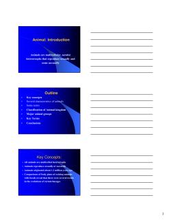 Animal: Introduction Outline Key Concepts: