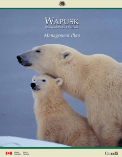 Wapusk management plan english.indd