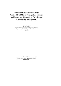 Molecular Resolution of Genetic Variability of Major Sweetpotato