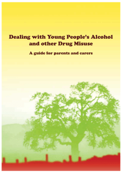 Dealing with Young People`s Alcohol and other Drug Misuse