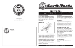 ABOUT BIRDS - Jamaica Environment Trust