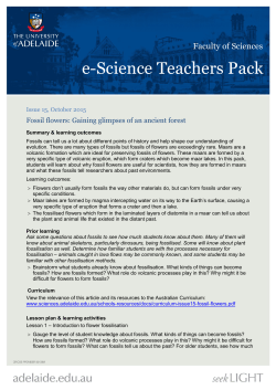 e-Science Teachers Pack - Faculty of Sciences