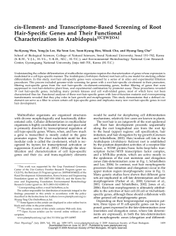 cis-Element- and Transcriptome-Based Screening of Root Hair
