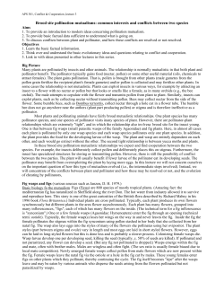 Brood site pollination mutualisms: common interests and