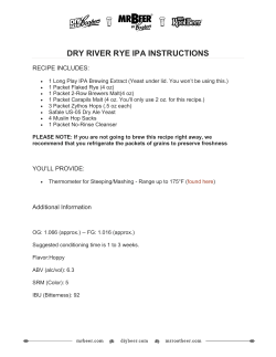 dry river rye ipa instructions