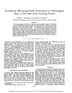 An Electron Microscope Study of Sarcoma I in a