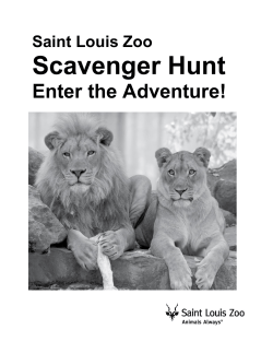 Adventure Scavenger Hunt 4th and up