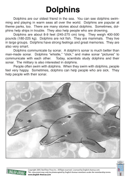 Dolphins