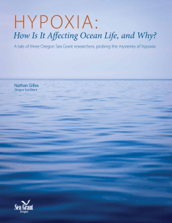 Hypoxia: How is it Affecting Ocean Life, and Why?